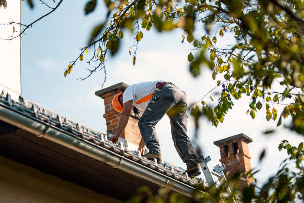 Best Chimney Flashing Repair  in Locust Fork, AL
