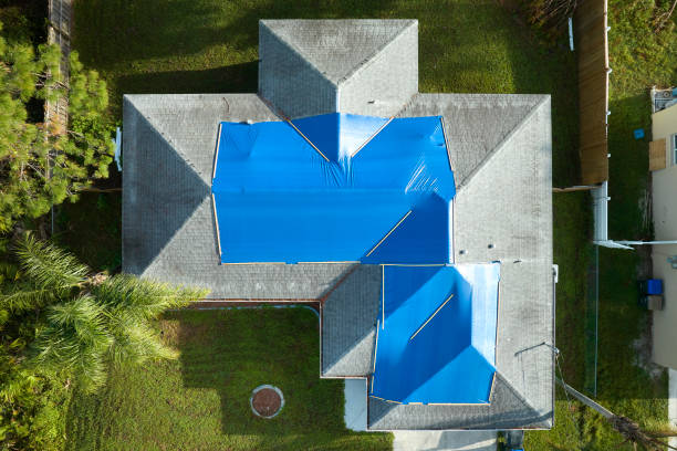 Best Storm Damage Roof Repair  in Locust Fork, AL