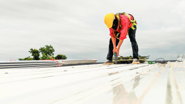 Best Asphalt Shingles Roofing  in Locust Fork, AL