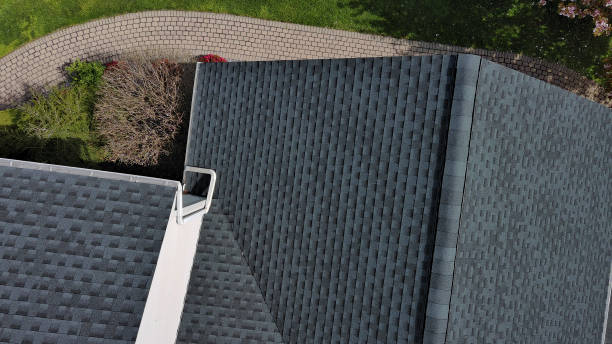Best Roof Maintenance and Cleaning  in Locust Fork, AL