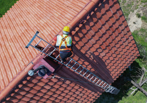 Best Roof Moss and Algae Removal  in Locust Fork, AL